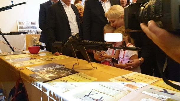 Image result for viorica copii arme