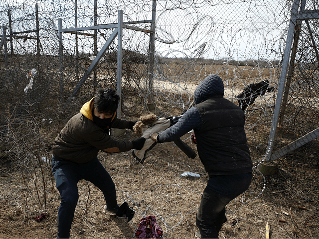 migrant